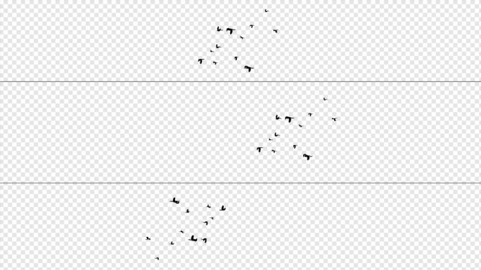 黑白2色带通道飞鸟视频2