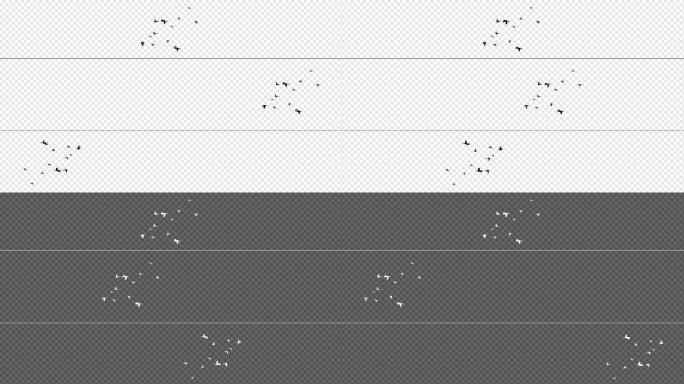 黑白2色带通道飞鸟视频2