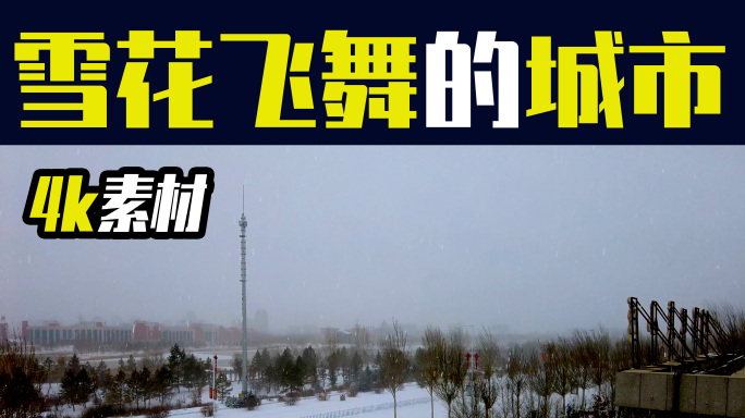 4k实拍北方城市下雪情景雪花飞舞