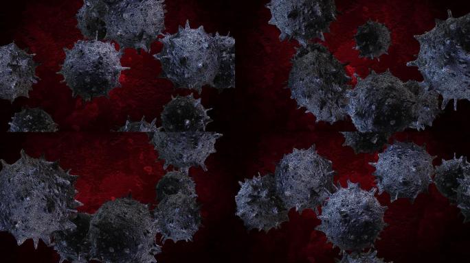 Sars病毒细胞