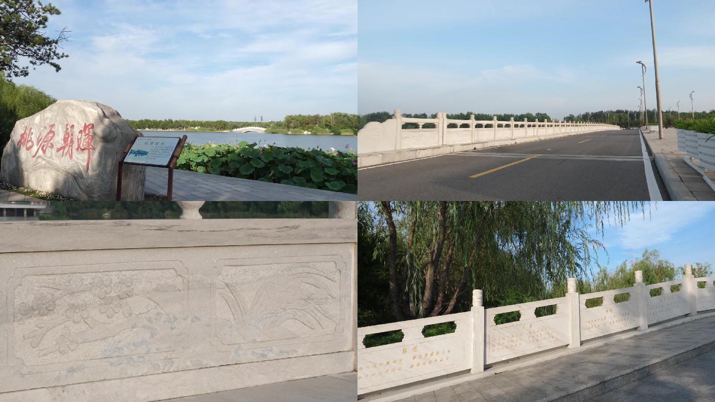 【镜头里】第1338号：唐山环城水系·青龙湖公园随拍（二）-中关村在线摄影论坛
