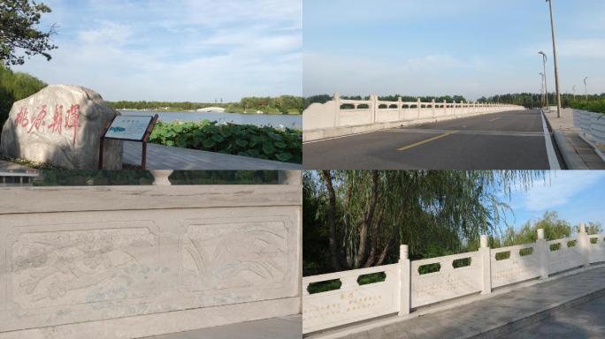 唐山南湖公园的桥