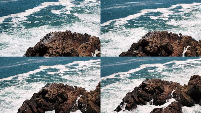海鸟栖息在海面上的岩石上