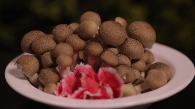 海鲜菇蟹味菇蘑菇  (2)