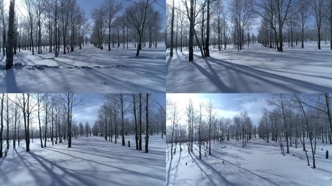 冬季雪地树林广阔航拍空镜