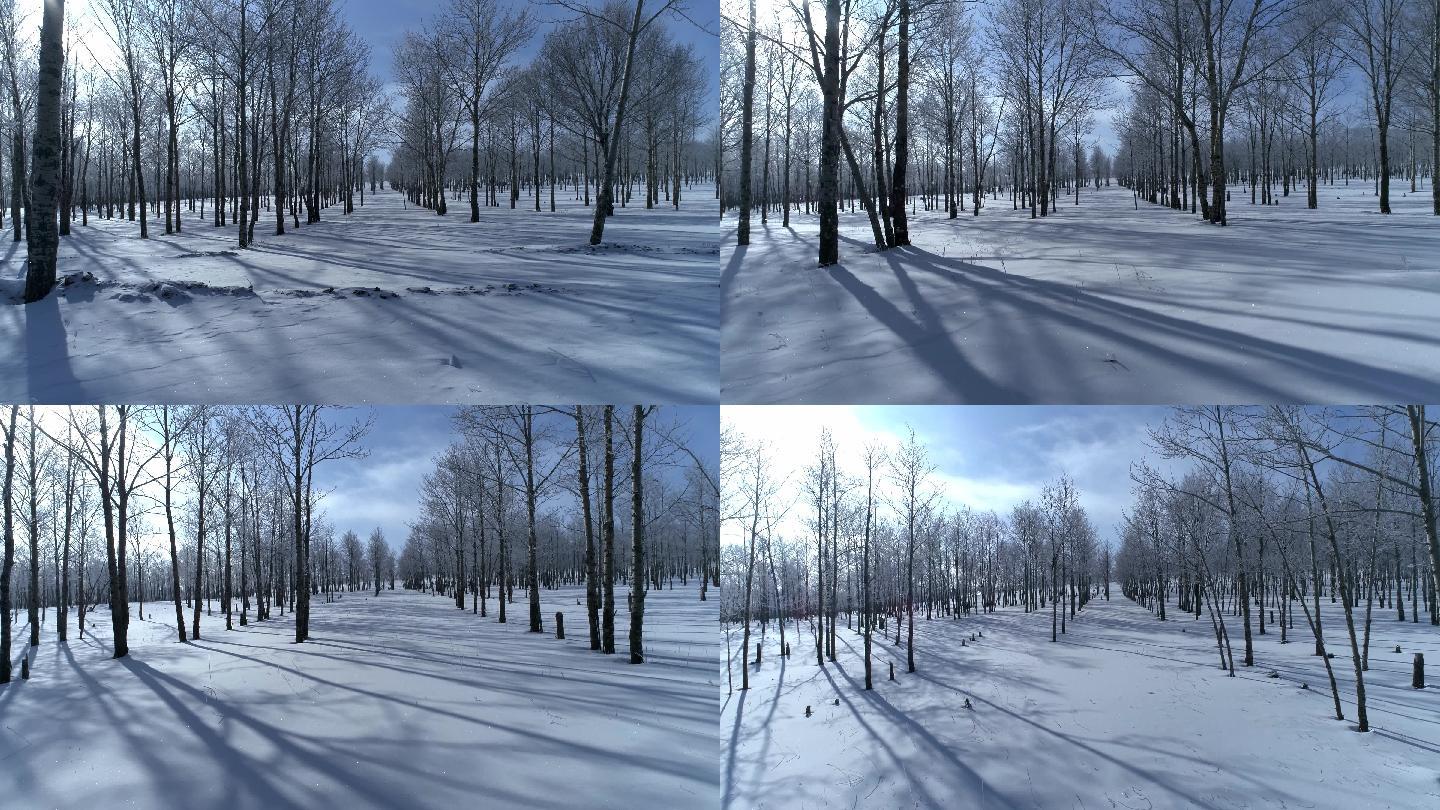 冬季雪地树林广阔航拍空镜