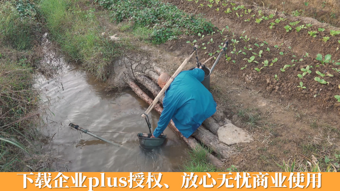 农民挑水灌溉自留地农夫浇菜