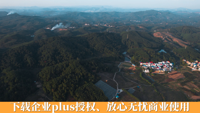 广西山村金桔种植区全景