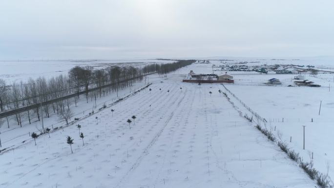 冬季城镇广阔雪地空镜航拍