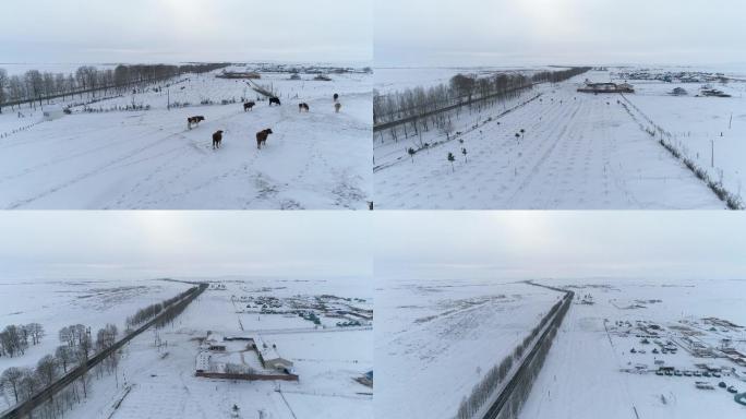 冬季城镇广阔雪地空镜航拍