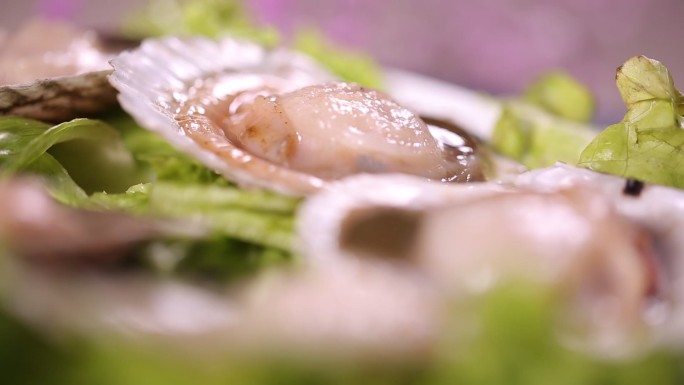 花蛤蛤蜊小海鲜花甲 (1)