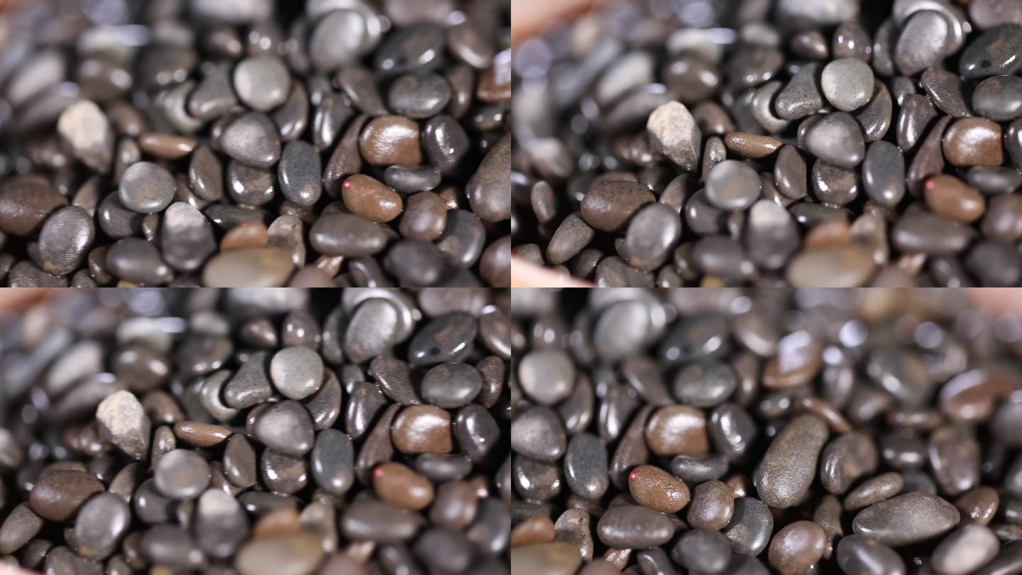 黑色石子石头籽  (6)
