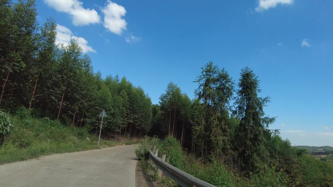 开车山区公路户外风景