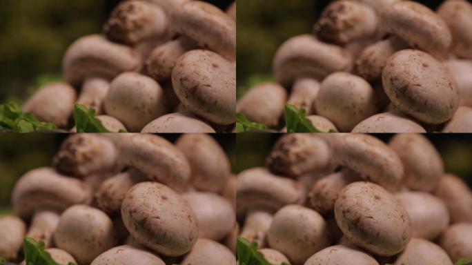 口蘑蘑菇白蘑菇鲜蘑 (3)