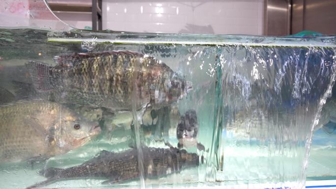 超市水产鱼类（场景二）+已调色