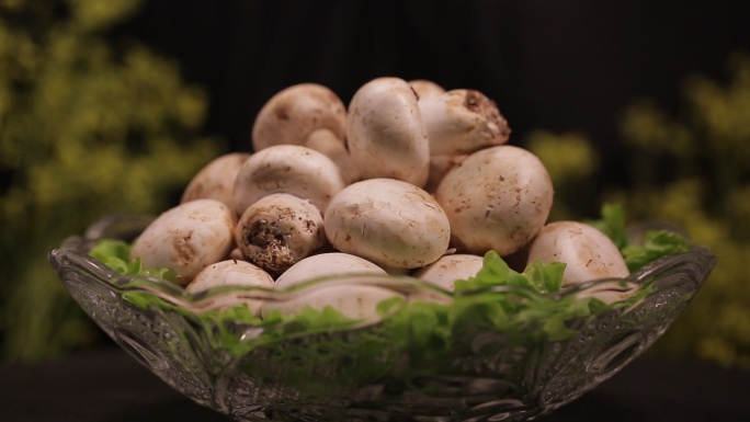 口蘑蘑菇白蘑菇鲜蘑 (2)