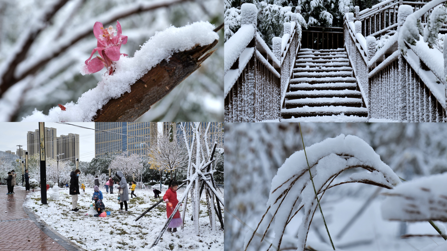 【4K】唯美的城市雪景-玩雪