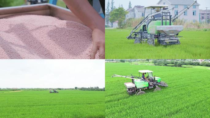4K乡村振兴农业水稻施肥