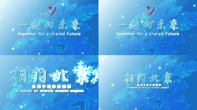 冬奥冰雪文字logo版式2