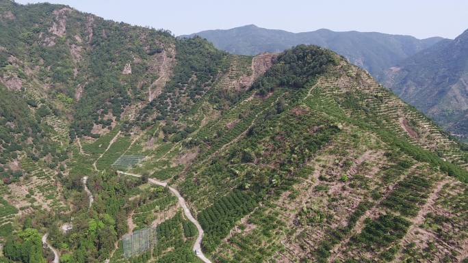 【台州临海】马里岙涌泉基地