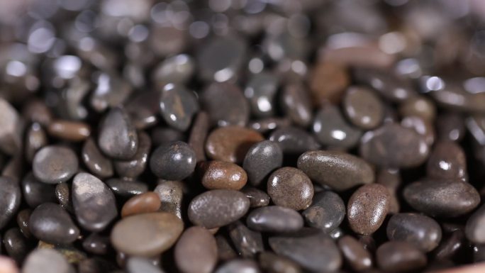 黑色石子石头籽  (7)