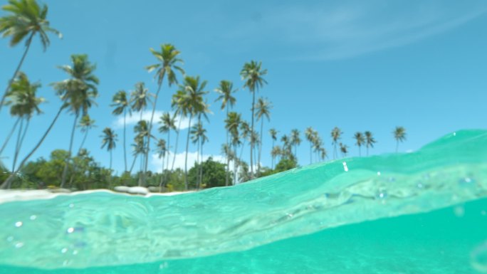 在炎热的夏日，壮观的棕榈树海滩