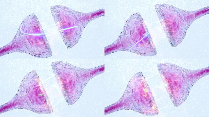 神经元电脉冲突触概念