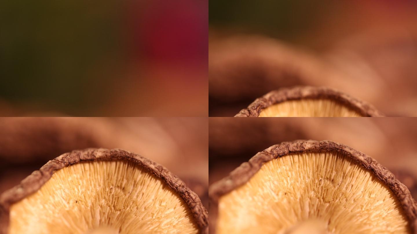 蘑菇香菇水发香菇 (2)