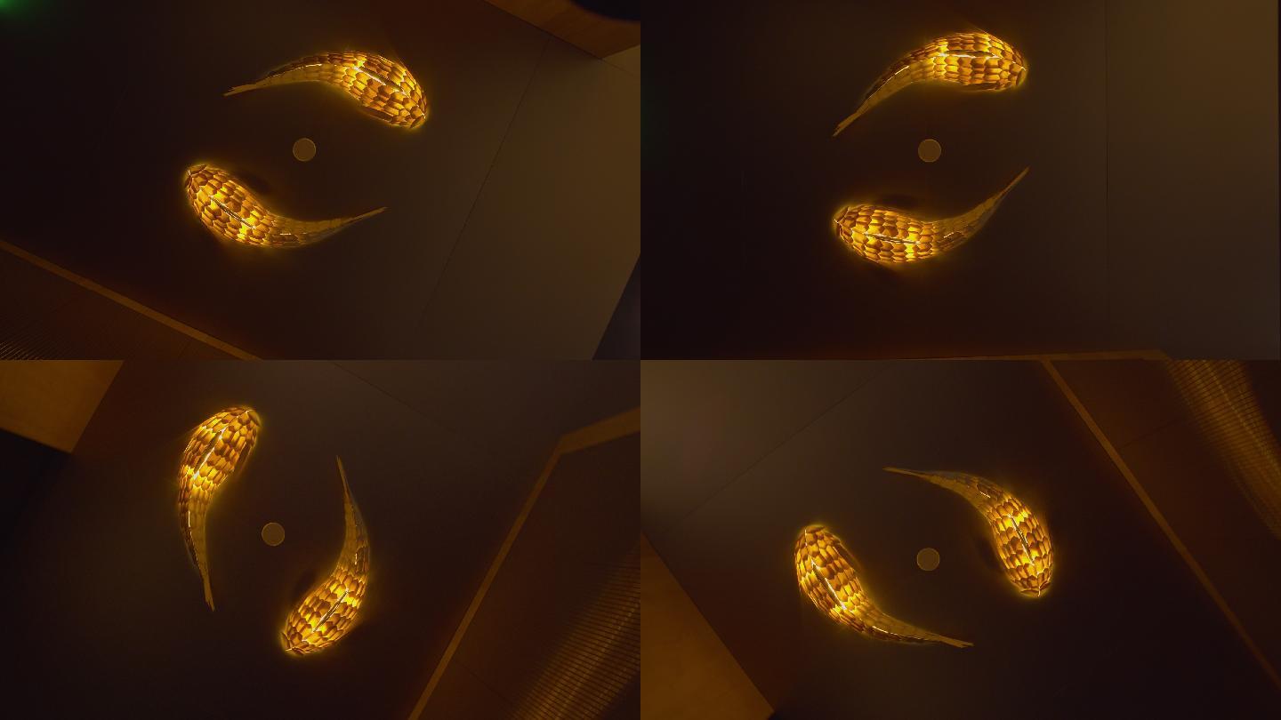 旋转的鱼形灯