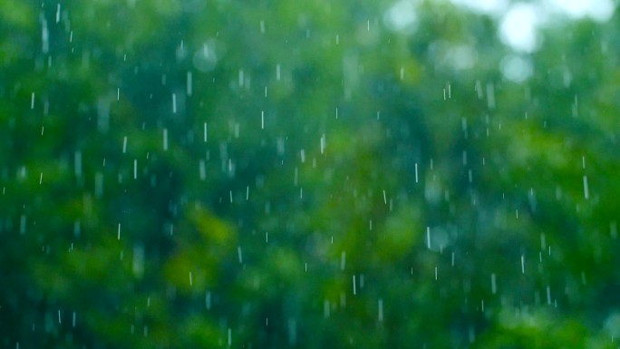 雨滴落下小雨大雨春天下雨春雨视频