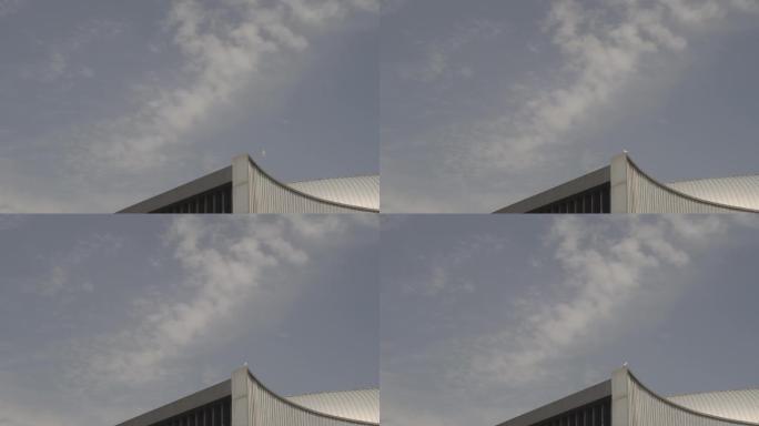 建筑屋顶飞来鸽子升格慢镜头