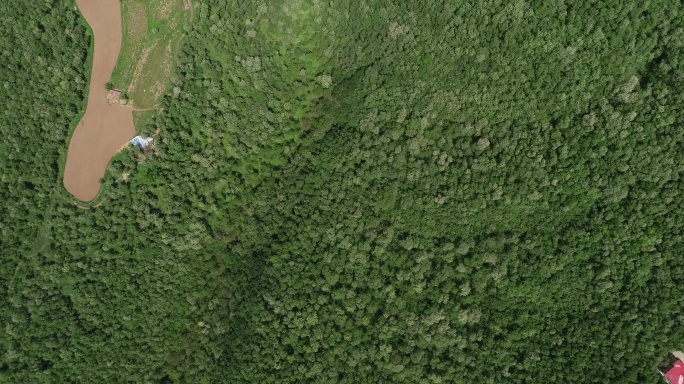 渭南白水方山森林公园航拍4K林场航拍