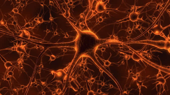 人类大脑和神经元睁眼眼球未来