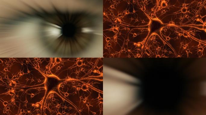 人类大脑和神经元睁眼眼球未来