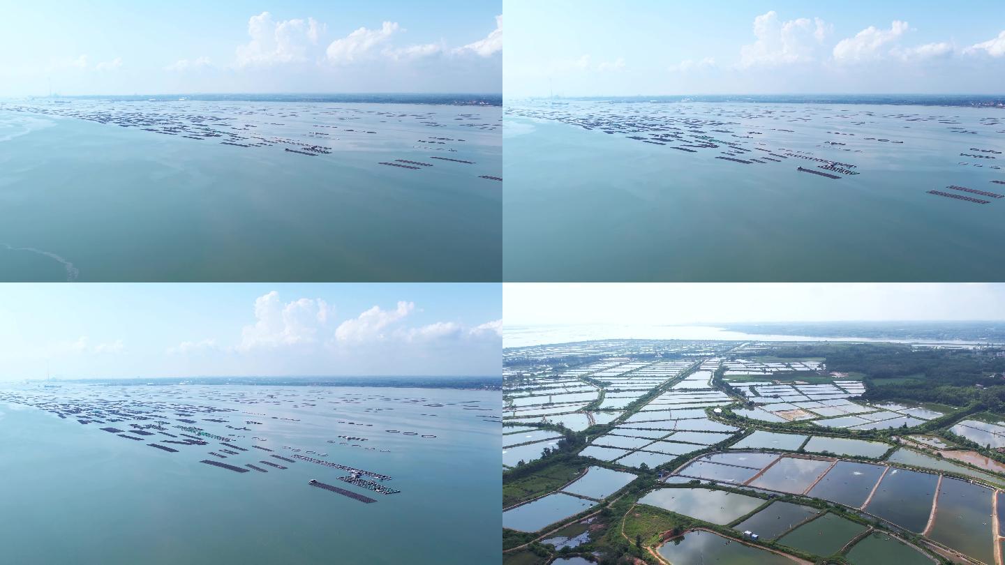 大海 生蚝基地 蚝场 生蚝养殖 海边牧场