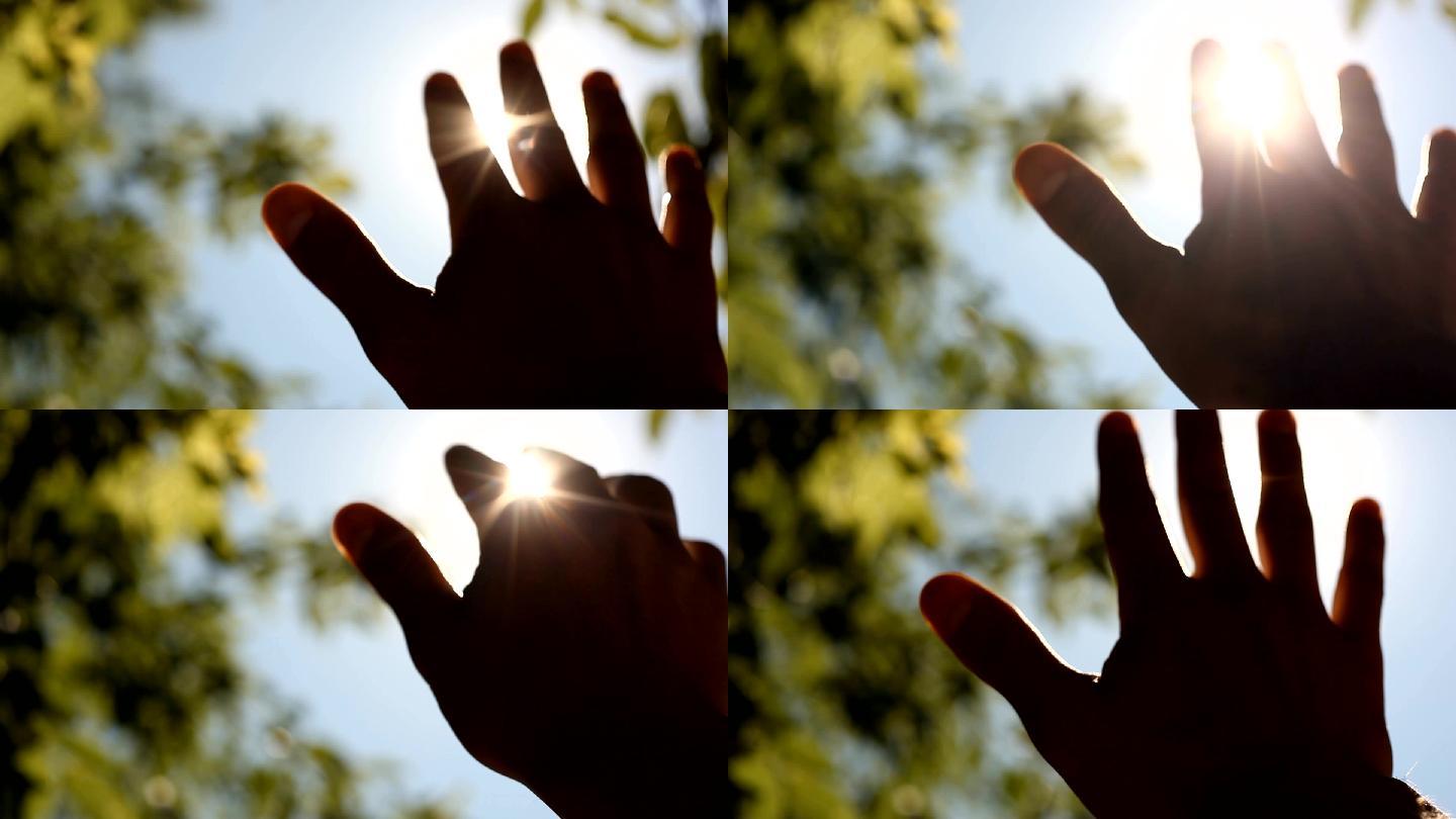 阳光穿过手指和手掌