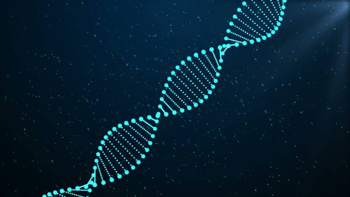 DNA序列，DNA编码结构