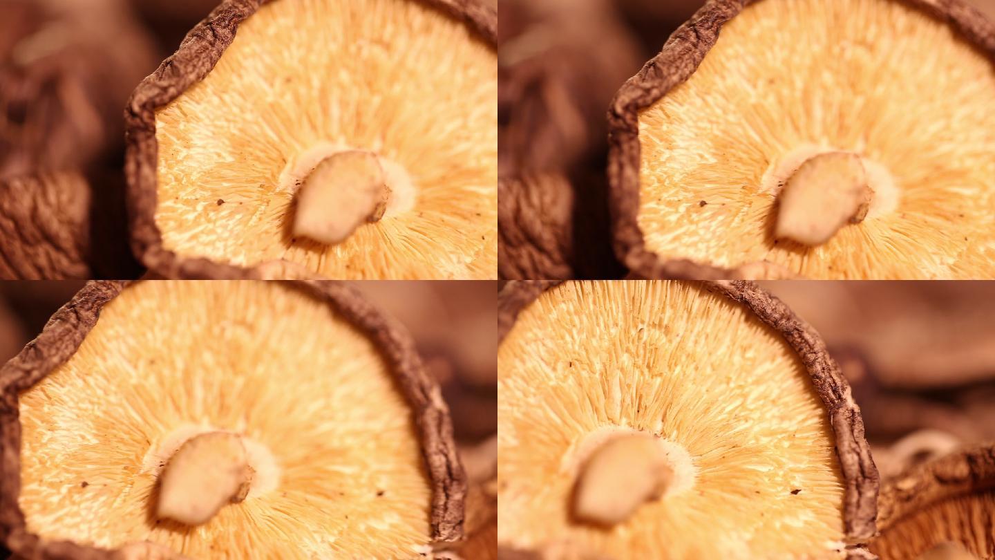 蘑菇香菇水发香菇 (3)
