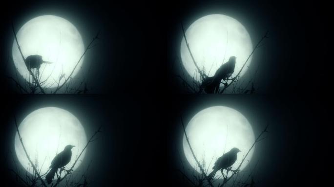 乌鸦在满月映衬下的轮廓