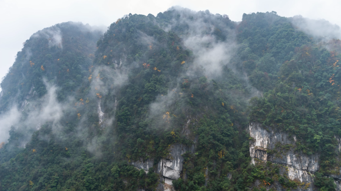 唯美画意风景高岩峡谷中的秋色云雾延时