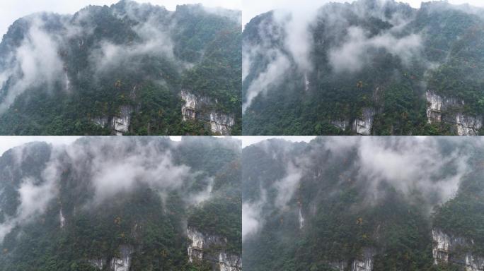 唯美画意风景高岩峡谷中的秋色云雾延时