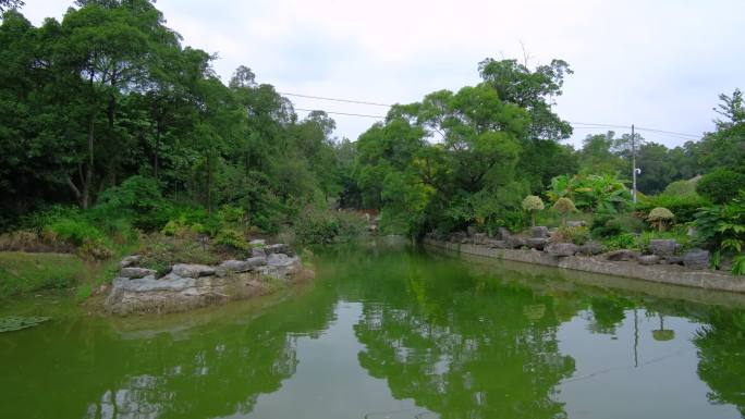 公园的池塘