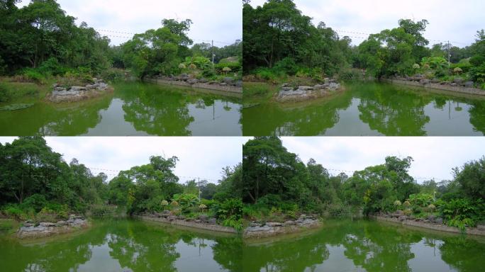 公园的池塘
