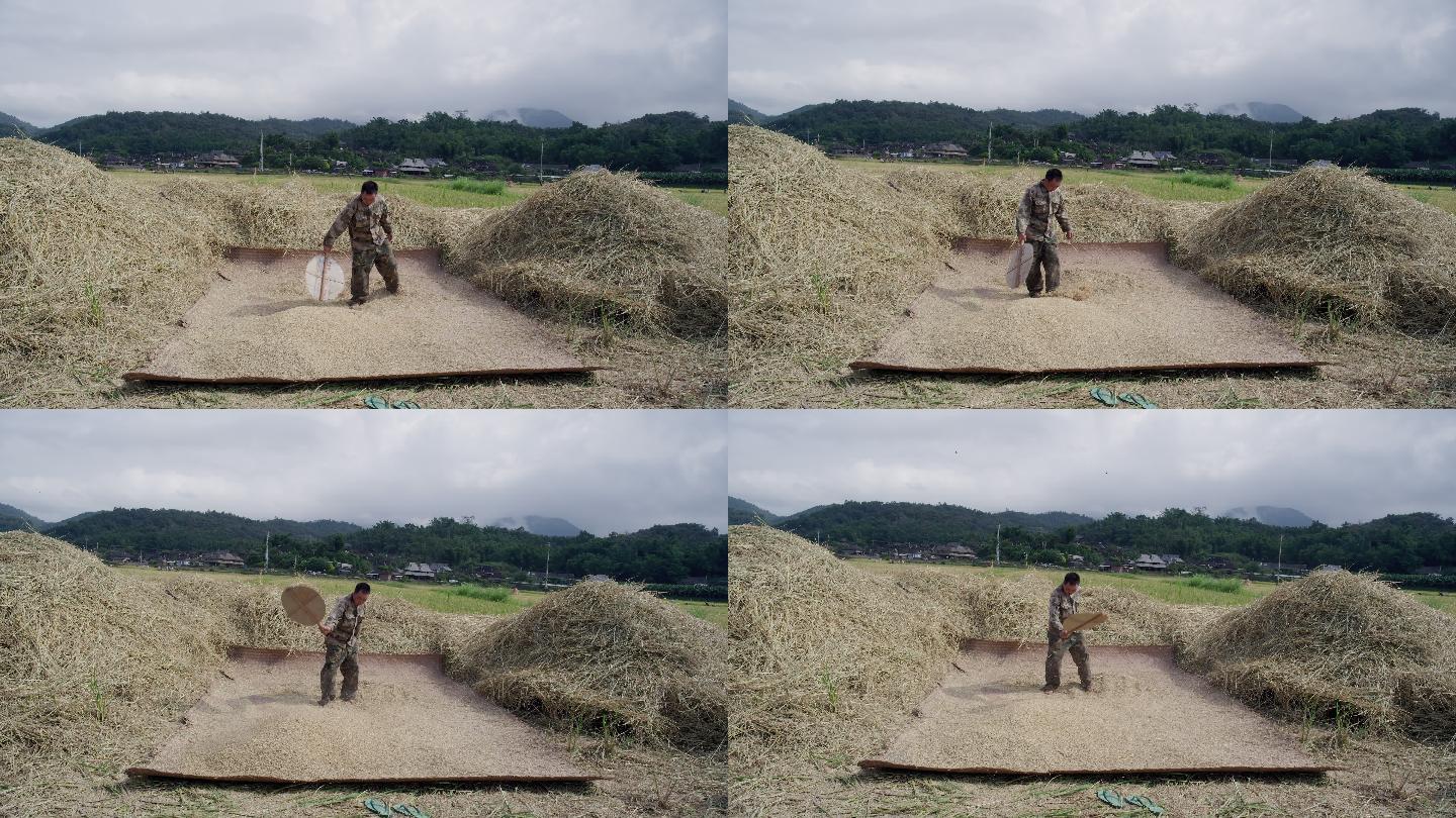 云南农村的农民在农田里草席上晒稻谷