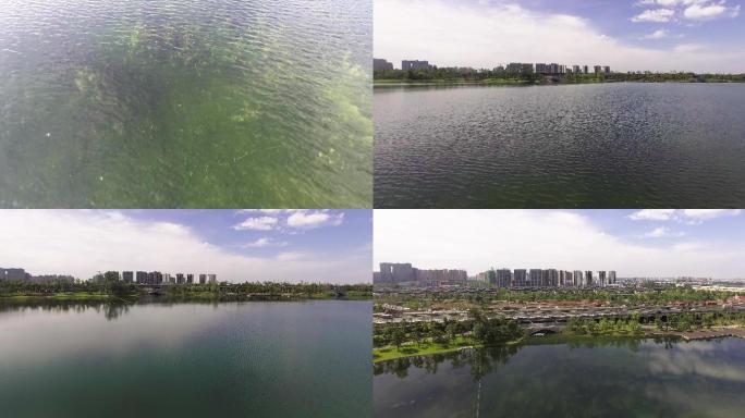 成都高新区锦城公园湖面航拍