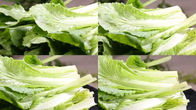 青菜小白菜菜叶叶子蔬菜 (5)