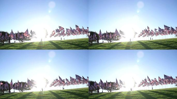 无数的美国国旗在风中飘扬