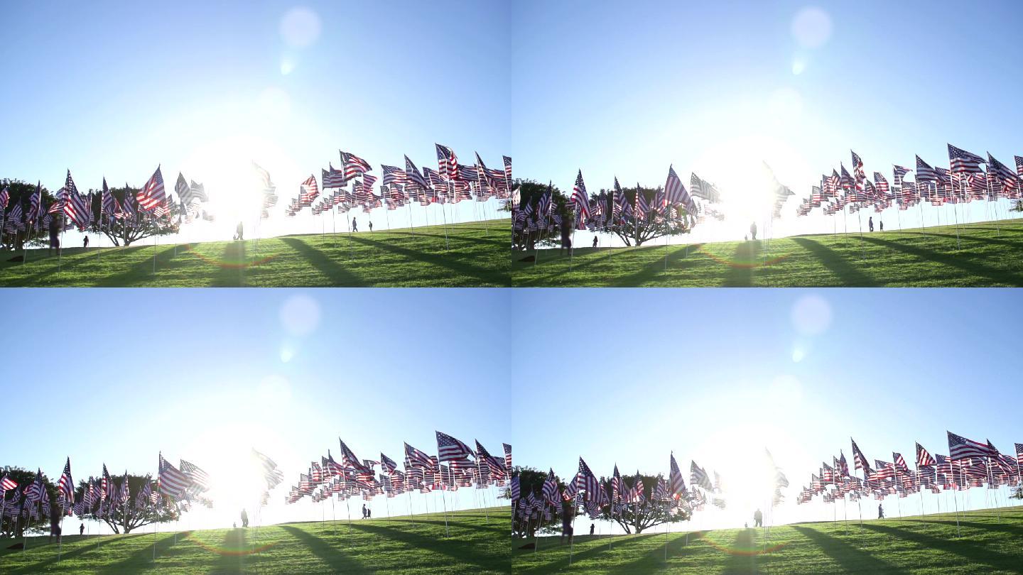 无数的美国国旗在风中飘扬