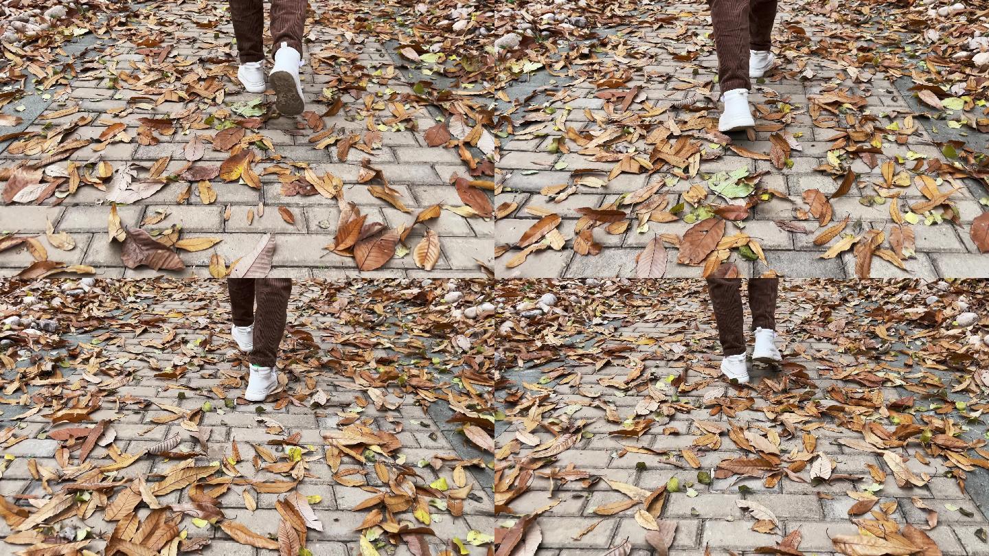 4K铺满落叶的路上行走的脚步特写