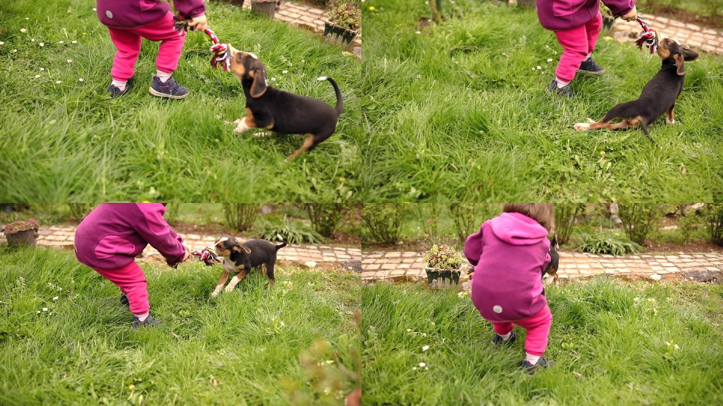 小女孩在后院和她的小狗玩游戏